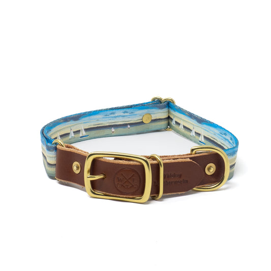 Water Dogs Collars