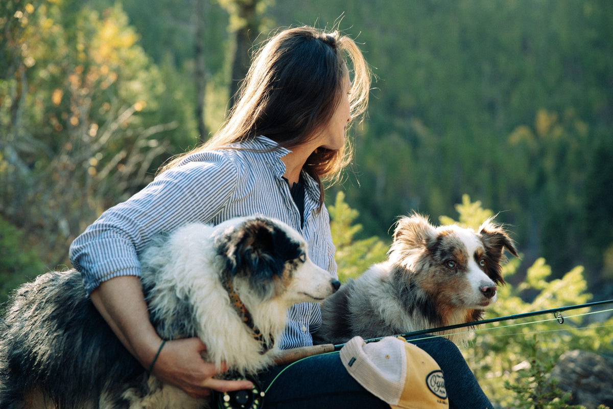 Whiskey Dogs - Whiskey Leatherworks
