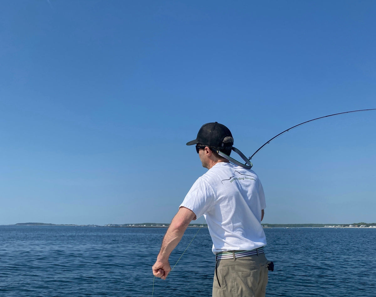 Saltwater Collection