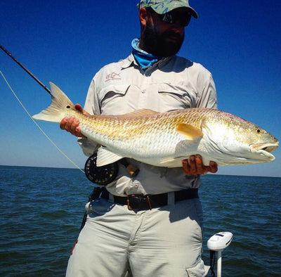 Redfish