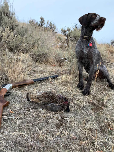 Grouse