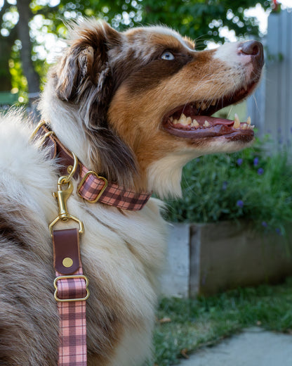The Tartan Dog Collars