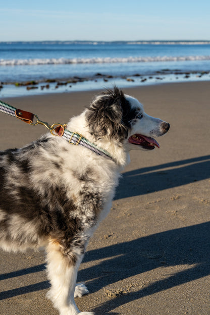 Fish & Upland Dog Collars