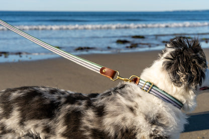 Fixed-Length Webbing Dog Leash