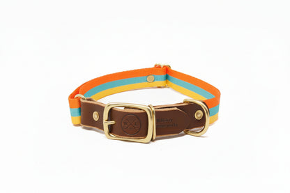 Summer Stripes Dog Collars