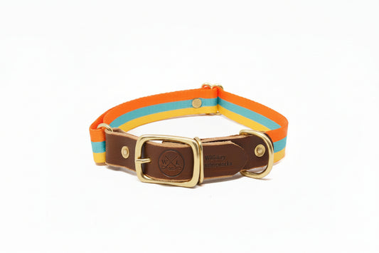 Summer Stripes Dog Collars
