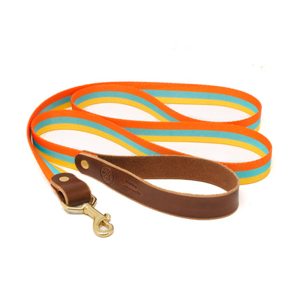 Summer Stripes Dog Leashes