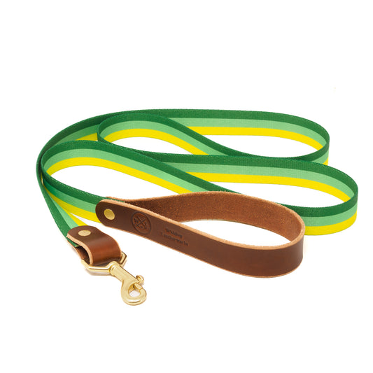Summer Stripes Dog Leashes