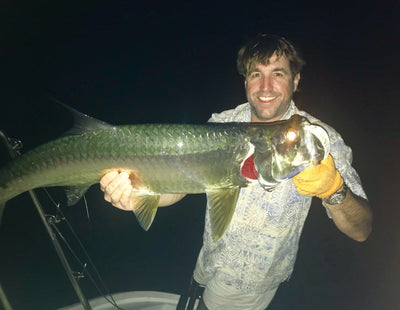 Tarpon
