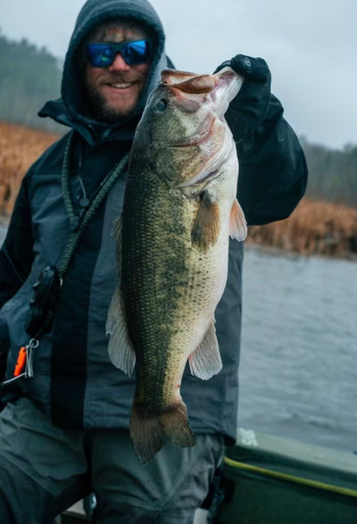 Largemouth Bass