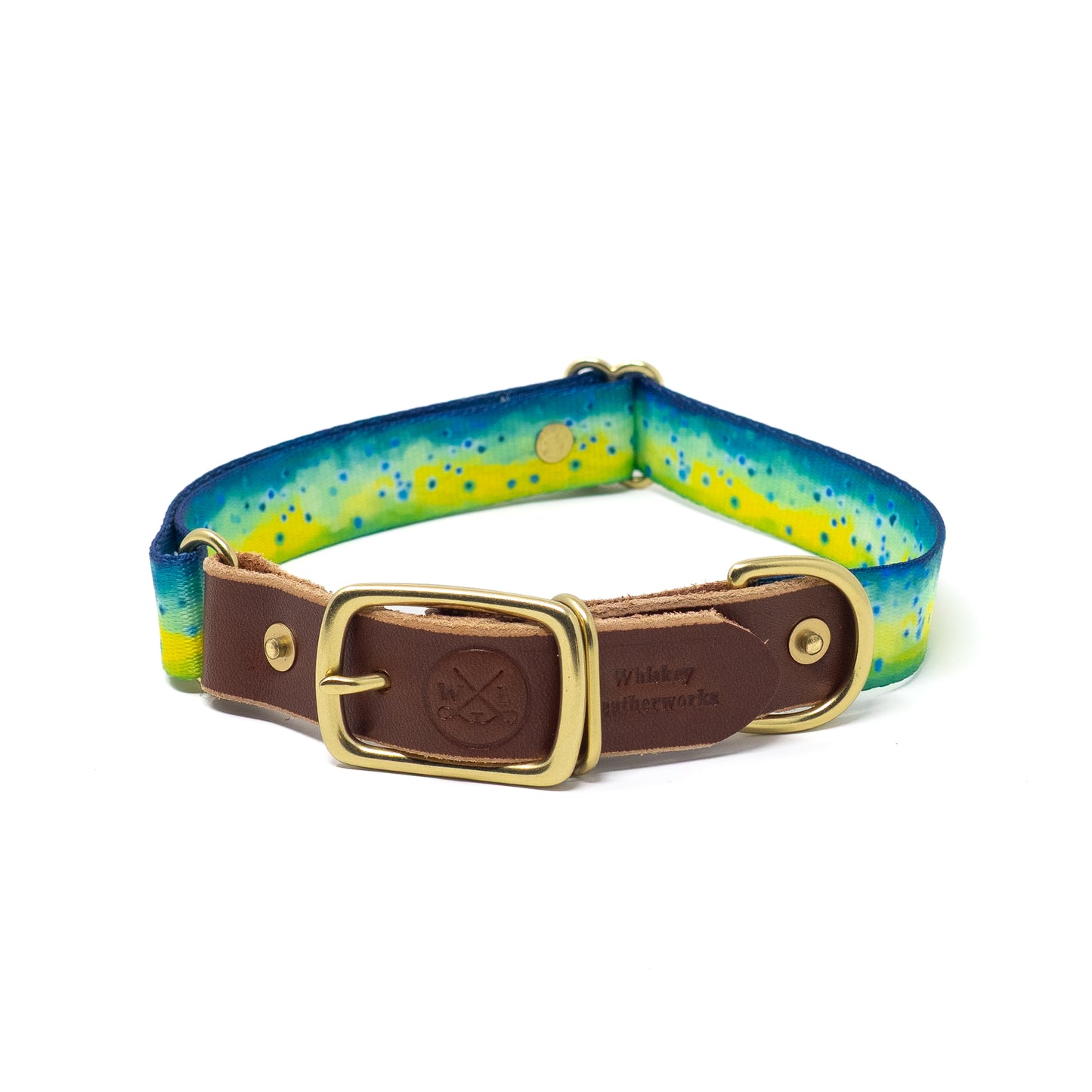 Water Dog Bundle