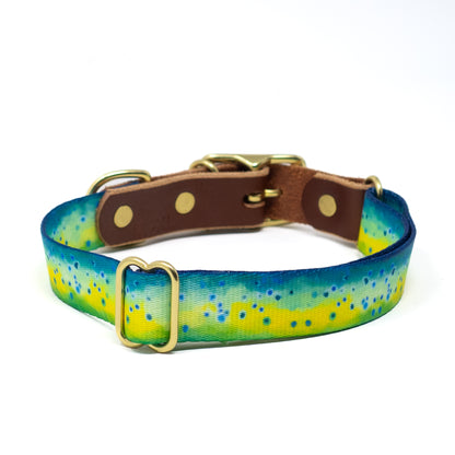 Water Dog Bundle