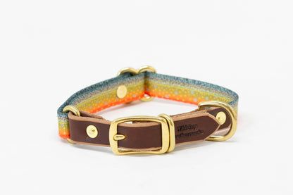 Fish & Upland Dog Collars - Whiskey Leatherworks